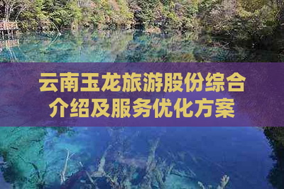 云南玉龍旅游股份 國(guó)內(nèi)旅游業(yè)務(wù)綜合解析與服務(wù)優(yōu)化藍(lán)圖